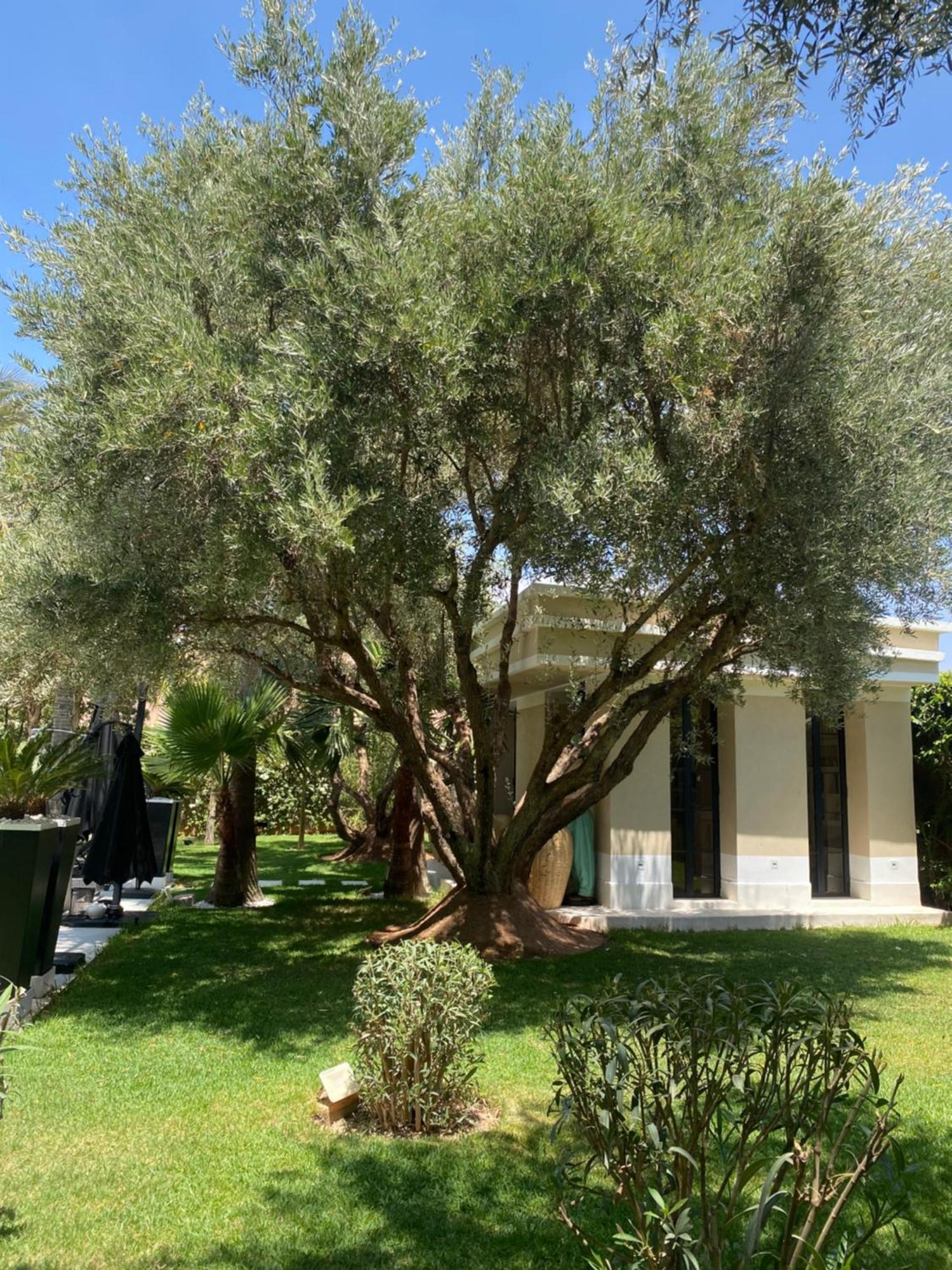 Villa Mano Lagouassem エクステリア 写真